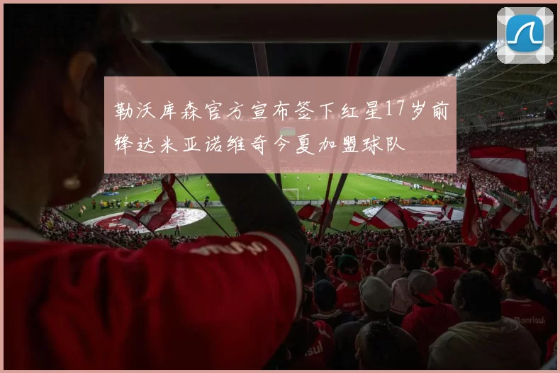 勒沃库森官方宣布签下红星17岁前锋达米亚诺维奇今夏加盟球队