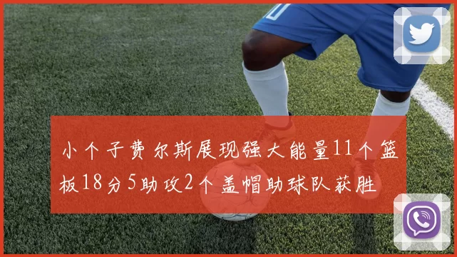 小个子费尔斯展现强大能量11个篮板18分5助攻2个盖帽助球队获胜